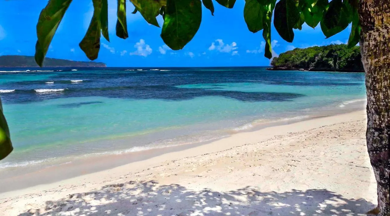 Studio Lotte - Ocean Front Las Galeras Apartment